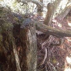 140504_p15.jpg