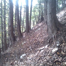 141011_p20.jpg