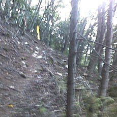 150920-01_p05.jpg