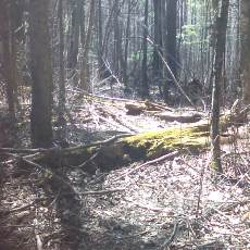 160419-02_p09.jpg