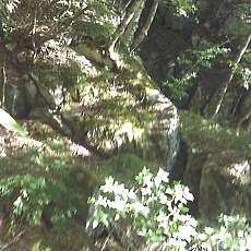 160603_p25.jpg