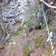 160603_p29.jpg