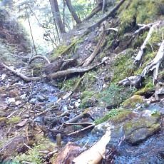 160603_p33.jpg
