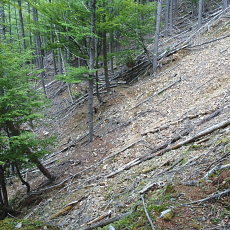 170617_p13.jpg