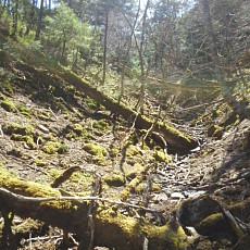 180428_p23.jpg