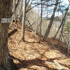 190505_p38.jpg