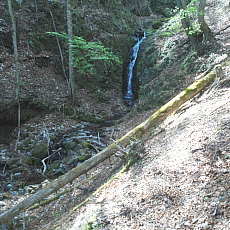 190518_p18.jpg