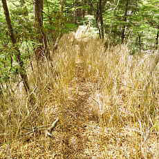 200024_p30.jpg