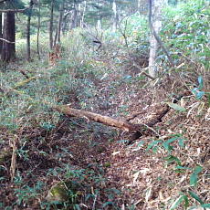 201004_p13.jpg