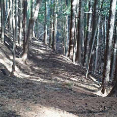 201206_p68.jpg