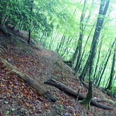 210522_p08.jpg