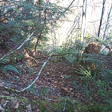 221028_p33.jpg
