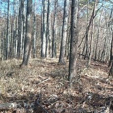 230414_p16.jpg