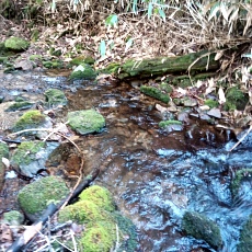 241112_p24.jpg