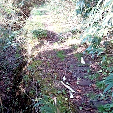 240530_p17.jpg