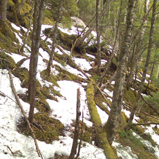 110430_p03.jpg