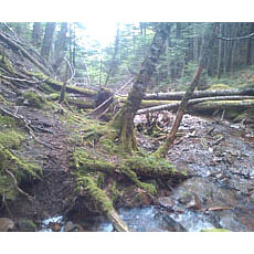 130706_p18.jpg