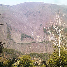 140427_p06.jpg