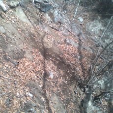 150228_p07.jpg