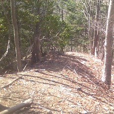 150330_p23.jpg