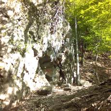 150510_p01.jpg