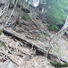 170519_p12.jpg