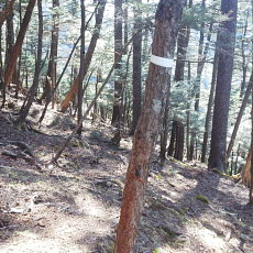 180428_p32.jpg