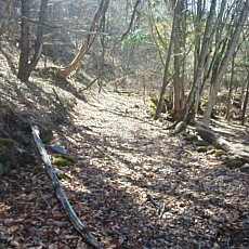 190505_p12.jpg
