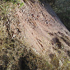 200001_p04.jpg