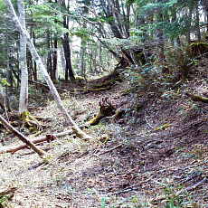 200024_p19.jpg