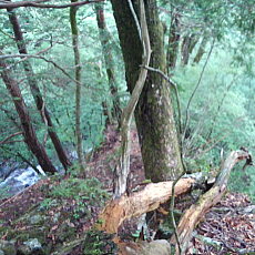 200621_p07.jpg