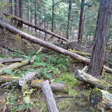 201117_p11.jpg