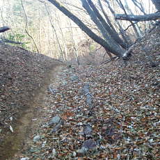201206_p21.jpg