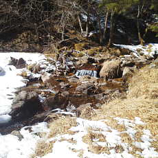 210315_p27.jpg