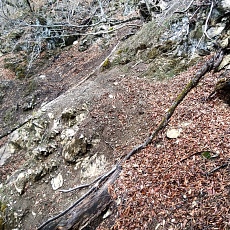 220416_p21.jpg