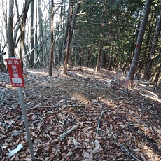 230304_p10.JPG