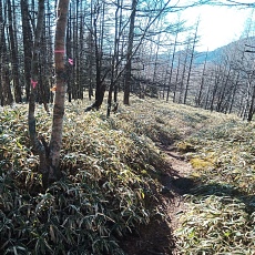 221127_p01.jpg