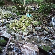 230618_p05.jpg
