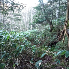 241112_p12.jpg