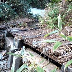 240530_p19.jpg