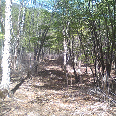 130517_p21.jpg
