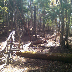 130517_p28.jpg