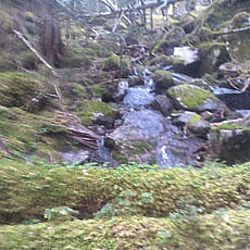 130706_p29.jpg