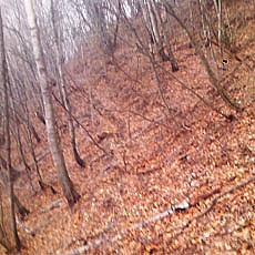 140419_p08.jpg