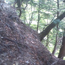 140517_p13.jpg