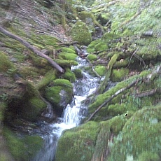 140712_p14.jpg