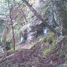 140922_p27.jpg