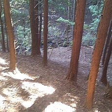 141020_p08.jpg