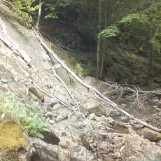 150605_p05.jpg
