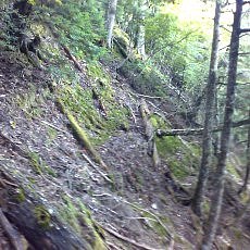 150919_p07.jpg